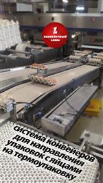 Система конвейеров для упаковок с яйцами на термоупаковку Система конвейеров для упаковок с яйцами на термоупаковку