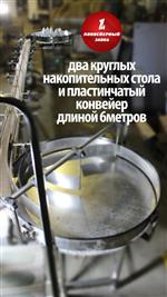 2 накопительных стола и пластинчатый конвейер 2 накопительных стола и пластинчатый конвейер